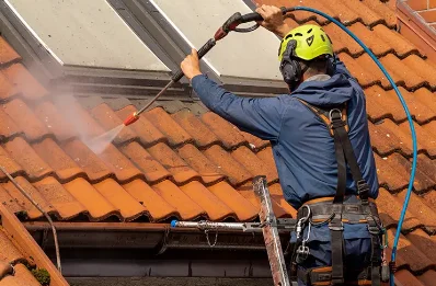 Démoussage et hydrofuge de toiture à Hambers